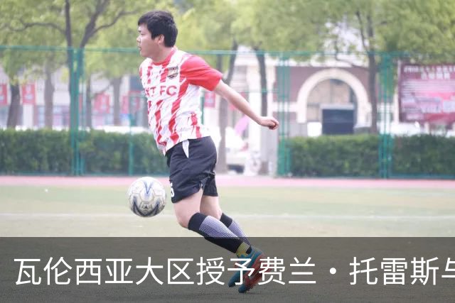 瓦伦西亚大区授予费兰·托雷斯与格里马尔多最高荣誉