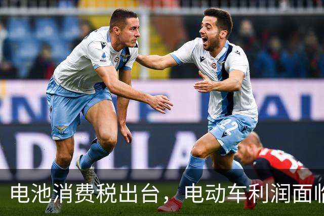 电池消费税出台，电动车利润面临压力