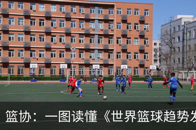篮协：一图读懂《世界篮球趋势发展中期报告（洛杉矶奥运周期）》