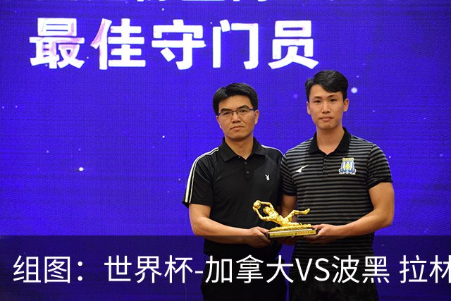 组图：世界杯-加拿大VS波黑 拉林为东道主扳平