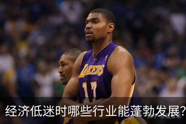 经济低迷时哪些行业能蓬勃发展？日本的历史给出启示
