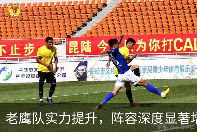 老鹰队实力提升，阵容深度显著增强