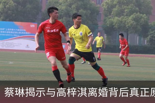 蔡琳揭示与高梓淇离婚背后真正原因，非语言障碍所致