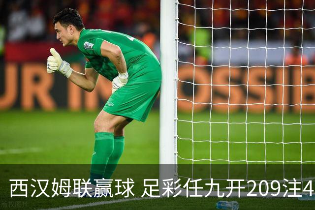 西汉姆联赢球 足彩任九开209注4.6万元