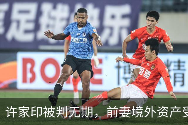 许家印被判无期，前妻境外资产受限