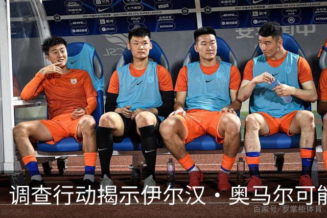 调查行动揭示伊尔汉·奥马尔可能的移民问题