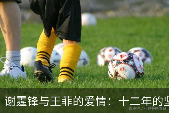 谢霆锋与王菲的爱情：十二年的坚持与现实挑战