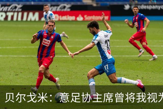 贝尔戈米：意足协主席曾将我视为备选方案，但首选一直是马尔蒂尼