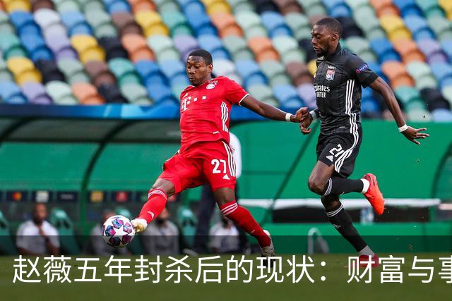 赵薇五年封杀后的现状：财富与事业双重困境