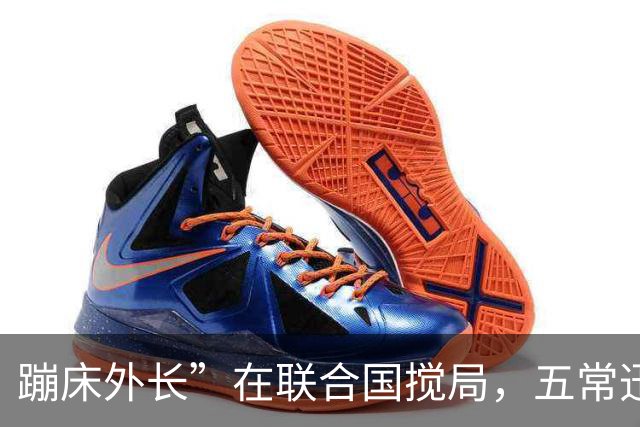 蹦床外长”在联合国搅局，五常迅速反击
