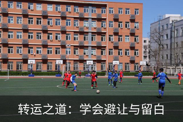 转运之道：学会避让与留白