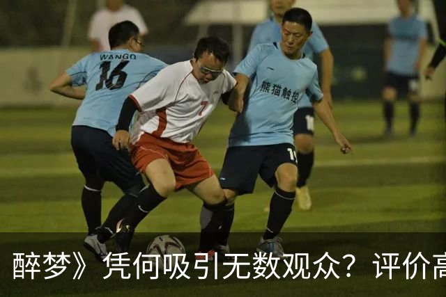 醉梦》凭何吸引无数观众？评价高达9.5分