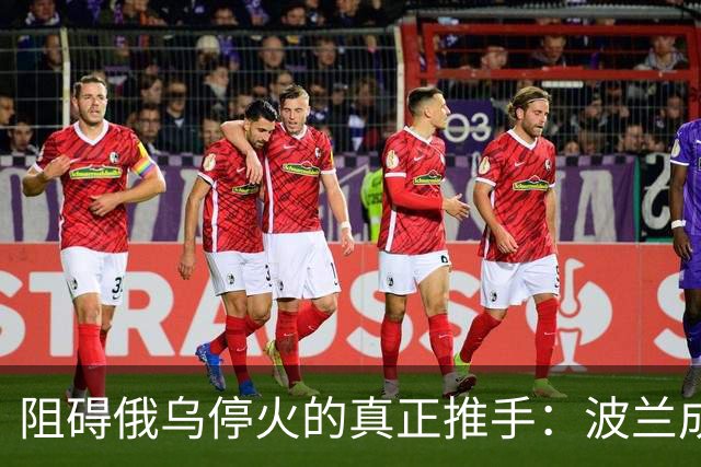 阻碍俄乌停火的真正推手：波兰成焦点