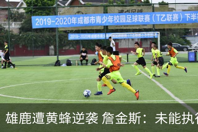 雄鹿遭黄蜂逆袭 詹金斯：未能执行战术计划