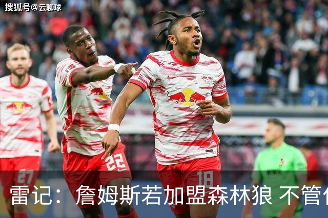 雷记：詹姆斯若加盟森林狼 不管什么成就也很难再提升其历史地位