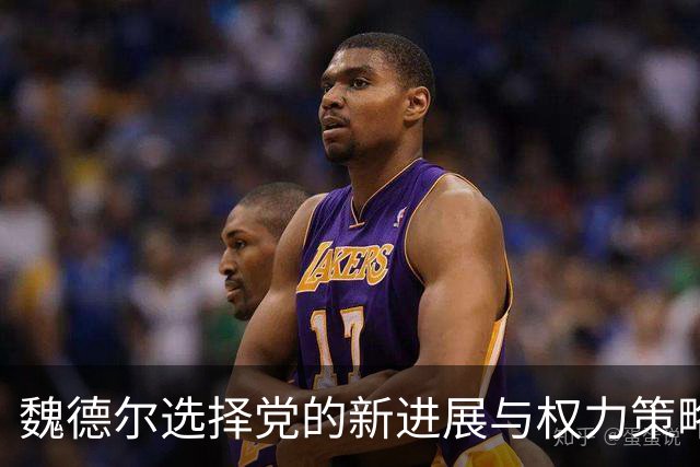 魏德尔选择党的新进展与权力策略