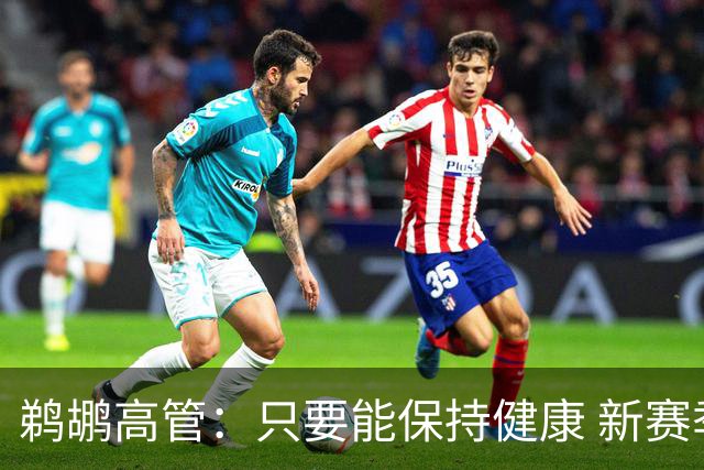 鹈鹕高管：只要能保持健康 新赛季我们能成为更出色的球队