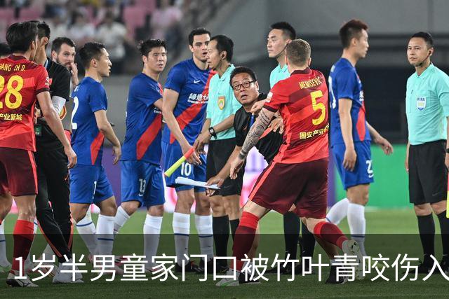 1岁半男童家门口被竹叶青咬伤入院治疗