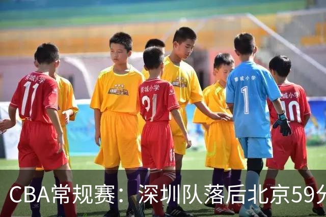 CBA常规赛：深圳队落后北京59分，贺希宁表现不佳