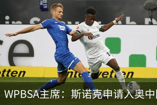 WPBSA主席：斯诺克申请入奥中国力量不可或缺